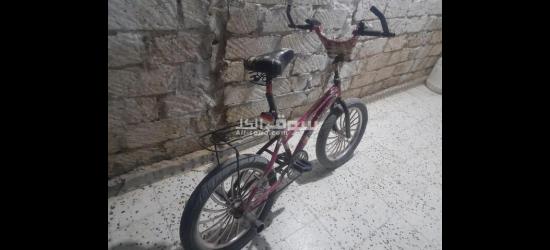 جالو