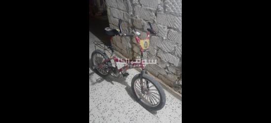 جالو - 5